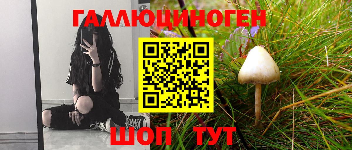 Подольск  Псилоцибиновые грибы ЛСД  Вход с VPN  Галлюциногенные грибы ЛСД 