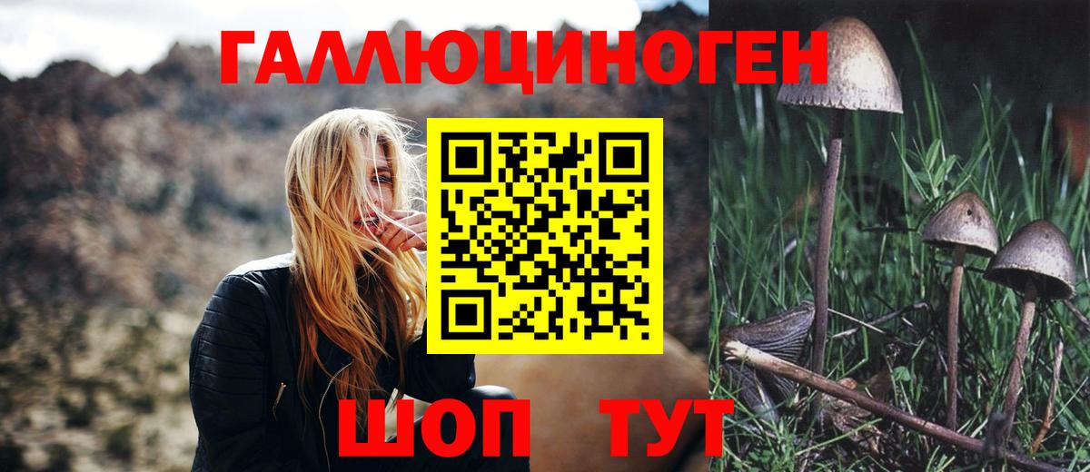 Галлюциногенные грибы мухоморы Подольск